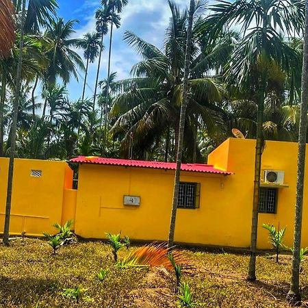 Shivalaya Farmstay Located Amdist Coconut Farm With River Access Near Isha,Adiyogi,Siruvani Alāndurai エクステリア 写真