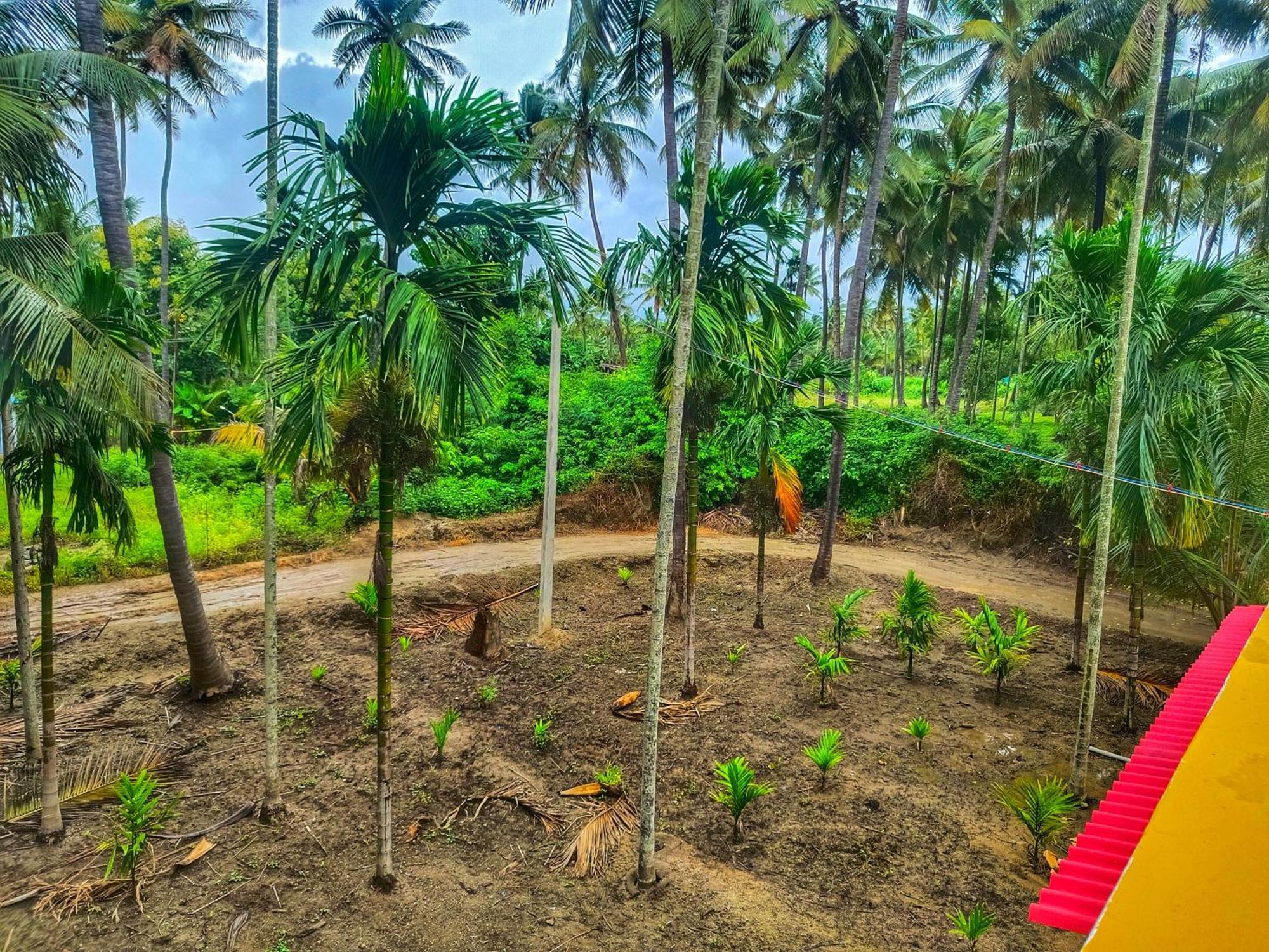 Shivalaya Farmstay Located Amdist Coconut Farm With River Access Near Isha,Adiyogi,Siruvani Alāndurai エクステリア 写真