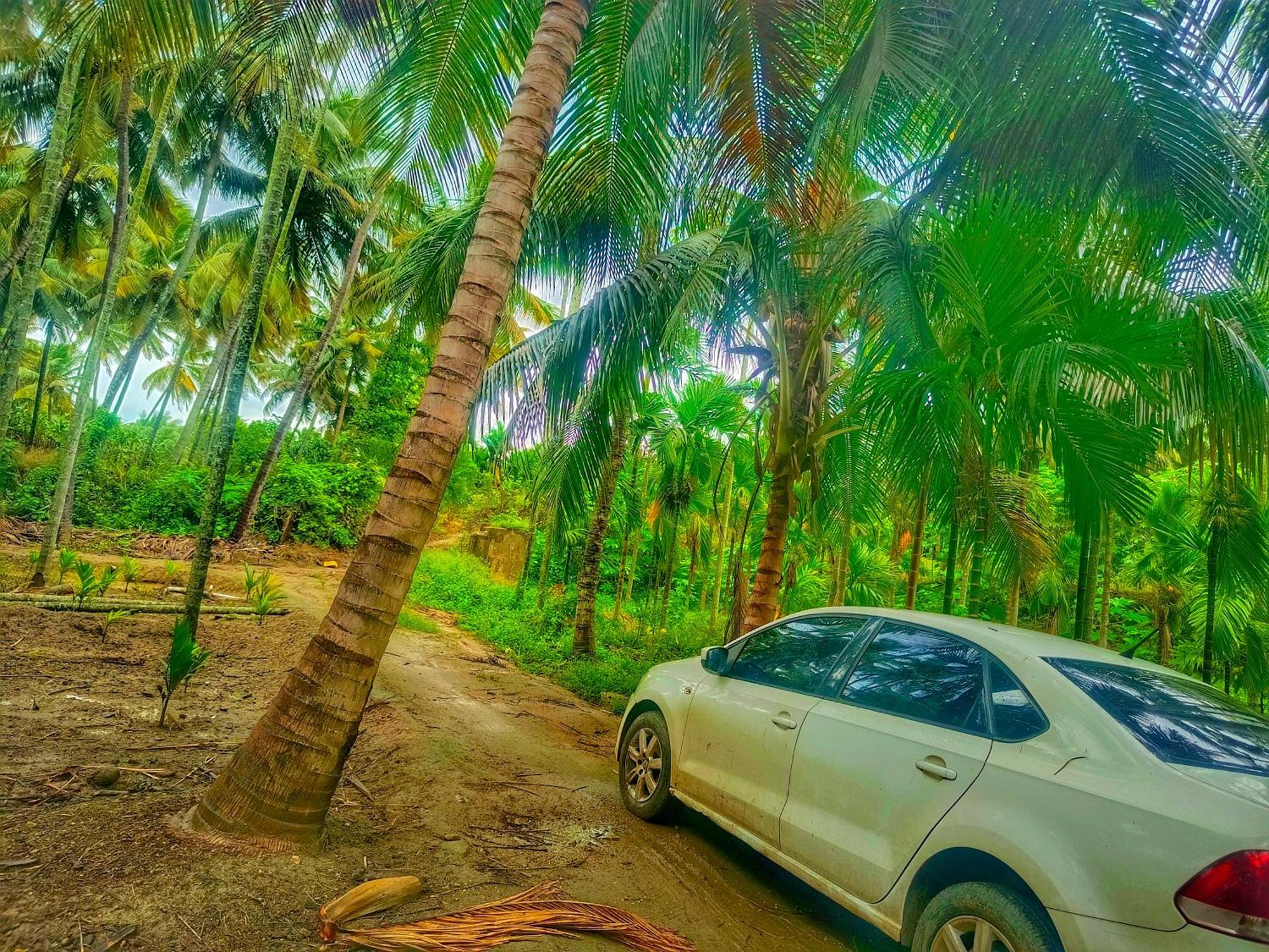 Shivalaya Farmstay Located Amdist Coconut Farm With River Access Near Isha,Adiyogi,Siruvani Alāndurai エクステリア 写真